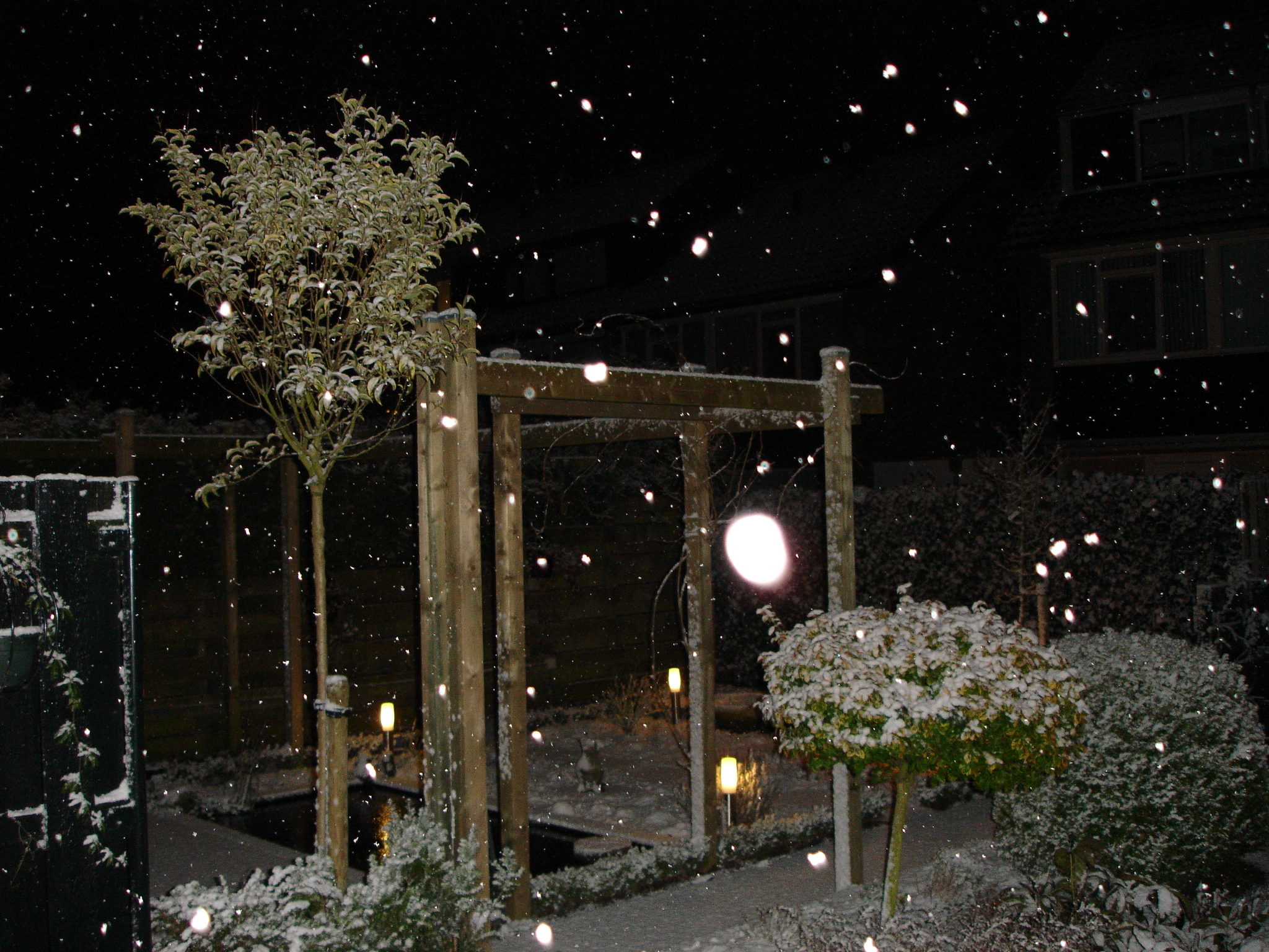 Dit is de laatste foto