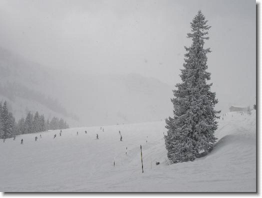 Klik hier voor de originele foto