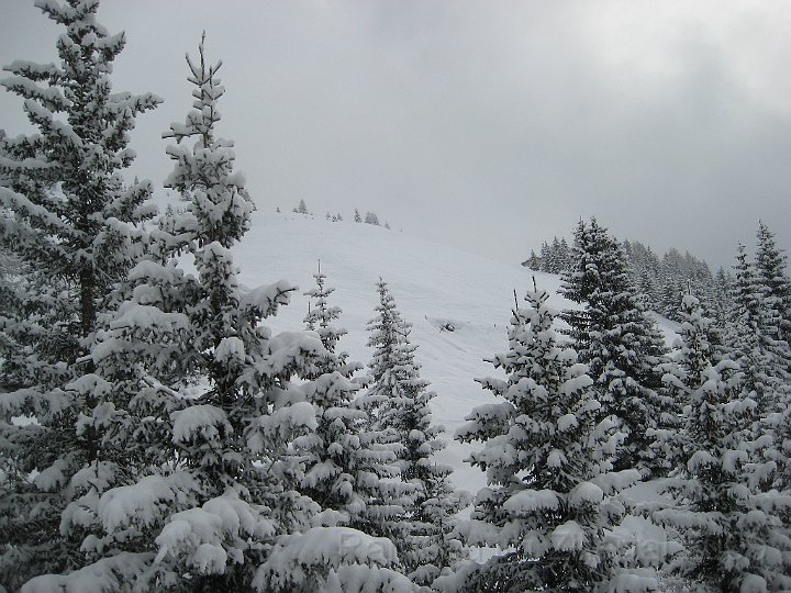 Ramsau20090307_011.jpg