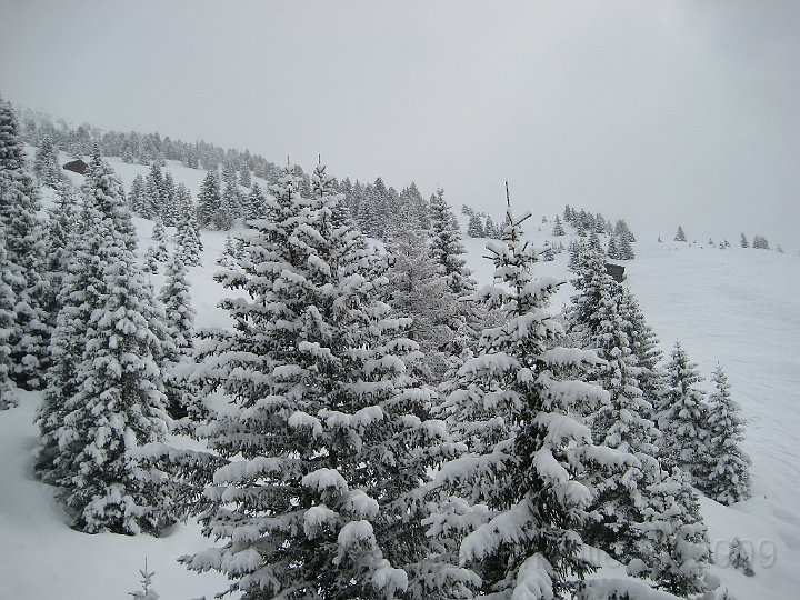Ramsau20090307_012.jpg
