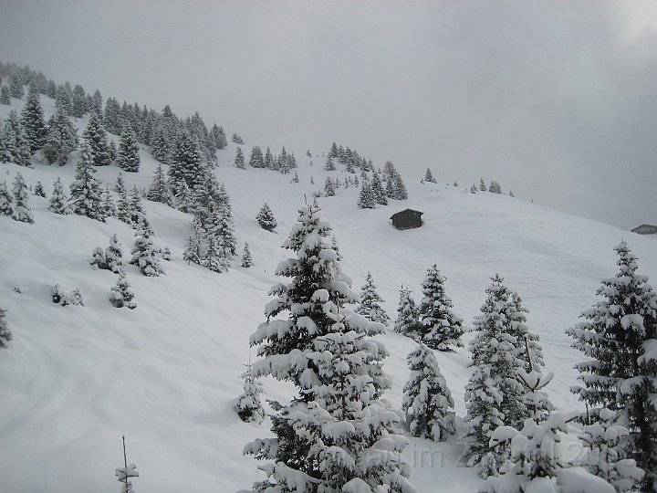 Ramsau20090307_015.jpg
