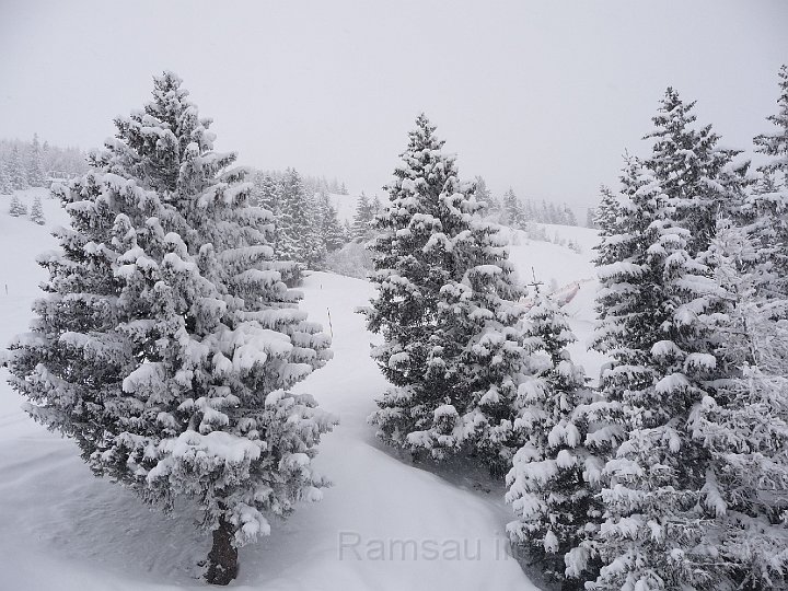 Ramsau20090307_057.jpg