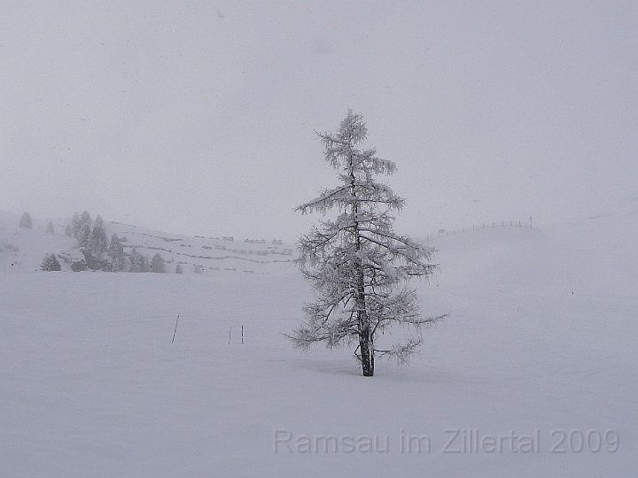 Ramsau20090307_068.jpg
