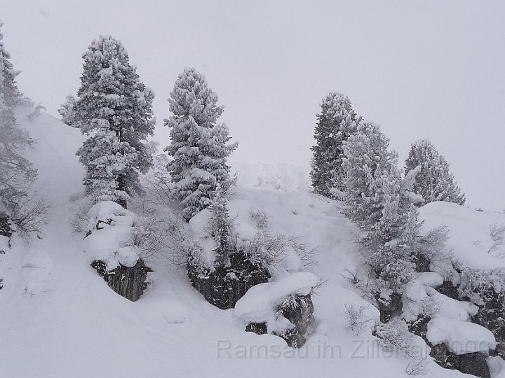 Ramsau20090307_076.jpg