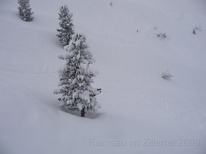 Ramsau20090307_078.jpg
