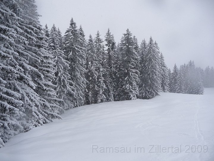 Ramsau20090307_113.jpg