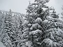 Ramsau20090307_009